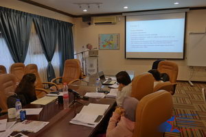Comparative Regionalism Workshop 2018: Bridging Regional Knowledge