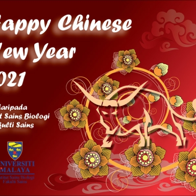 Happy Chinese New Year