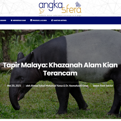 Tapir Malaya: Khazanah Alam Kian Terancam