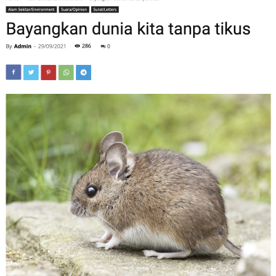 Bayangkan dunia kita tanpa tikus