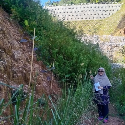 Research Highlight - Soil Bioengineering, Prof Normaniza binti Osman