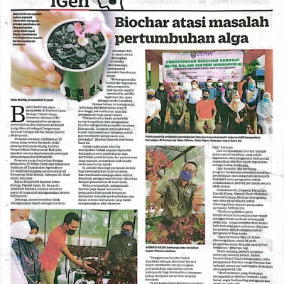 Biochar atasi masalah pertumbuhan alga