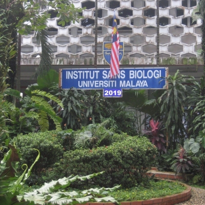 ISB on News